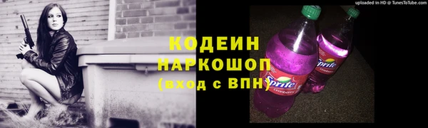 индика Абинск
